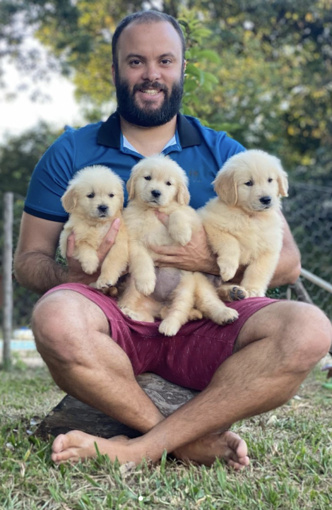 Filhotes de Golden Retriever com o criador Pedro Linhares